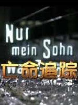 亡命追踪 Nur mein Sohn war Zeuge