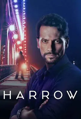 神秘法医 第二季 Harrow Season 2